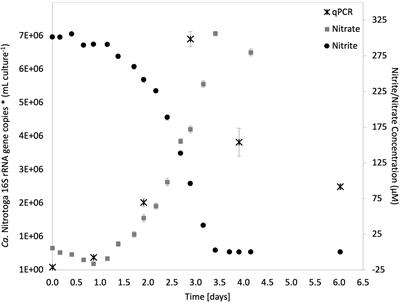 Physiology of the Nitrite-Oxidizing Bacterium Candidatus Nitrotoga sp. CP45 Enriched From a Colorado River